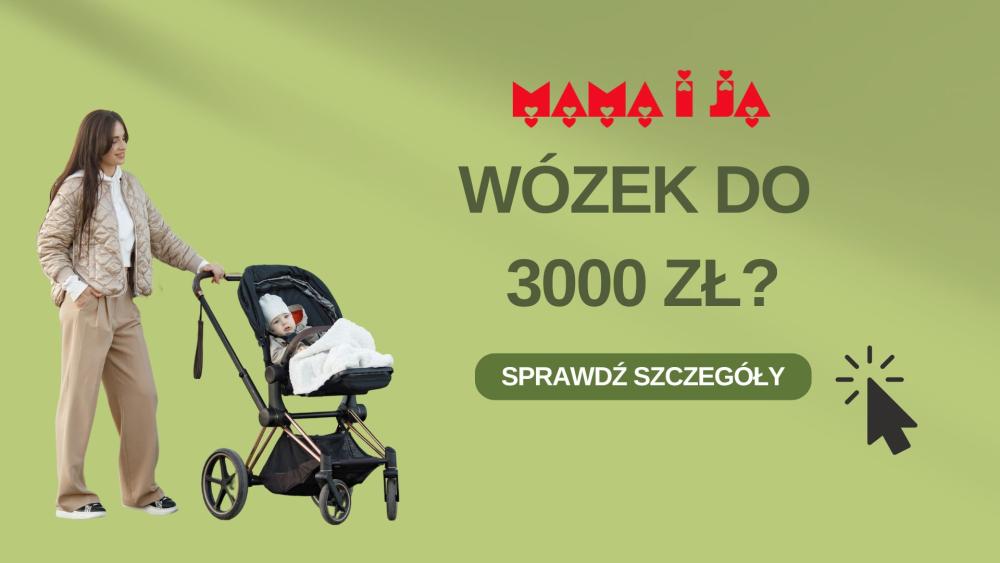 festiwal wózków wózek do 3000 zł