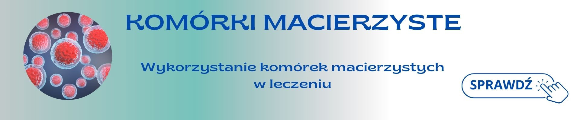 warsztaty komórki macierzyste