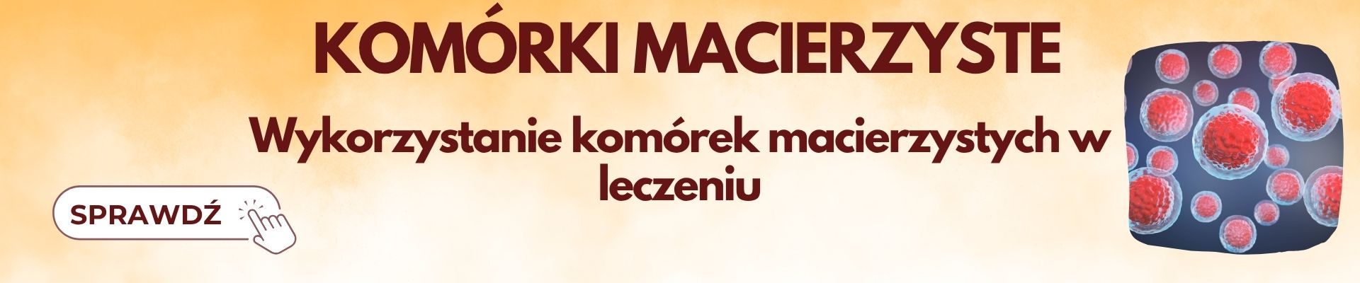 Komórki macierzyste — zapisy Evenea