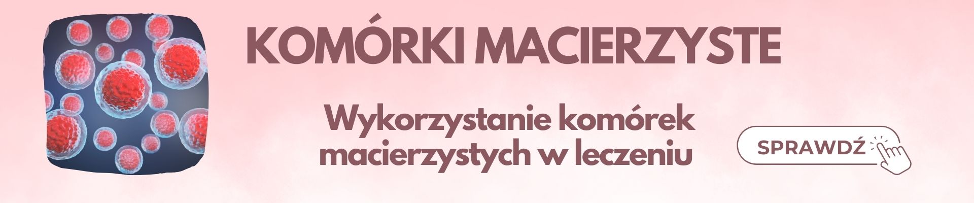 Komórki macierzyste — zapisy Evenea