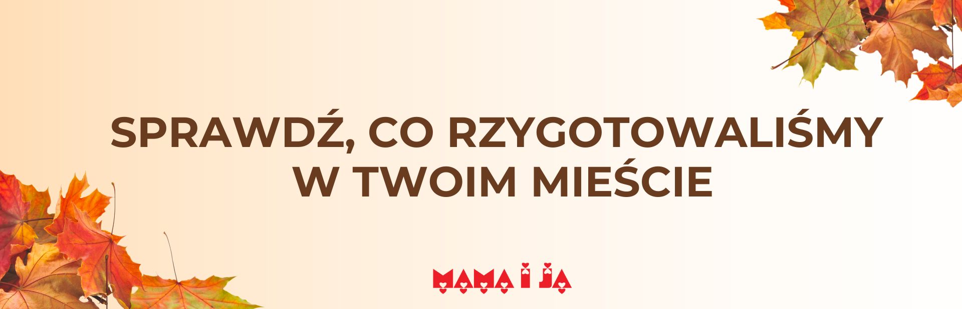 targi w miastach-baner