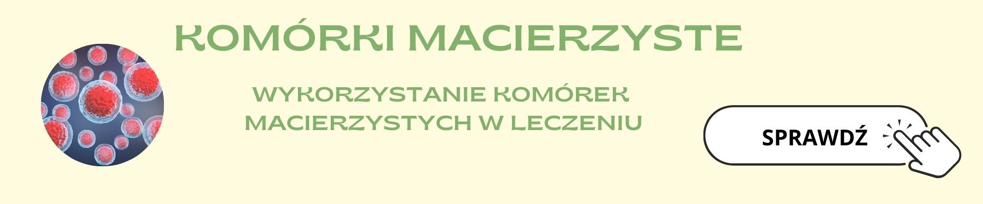 warsztaty komórki macierzyste