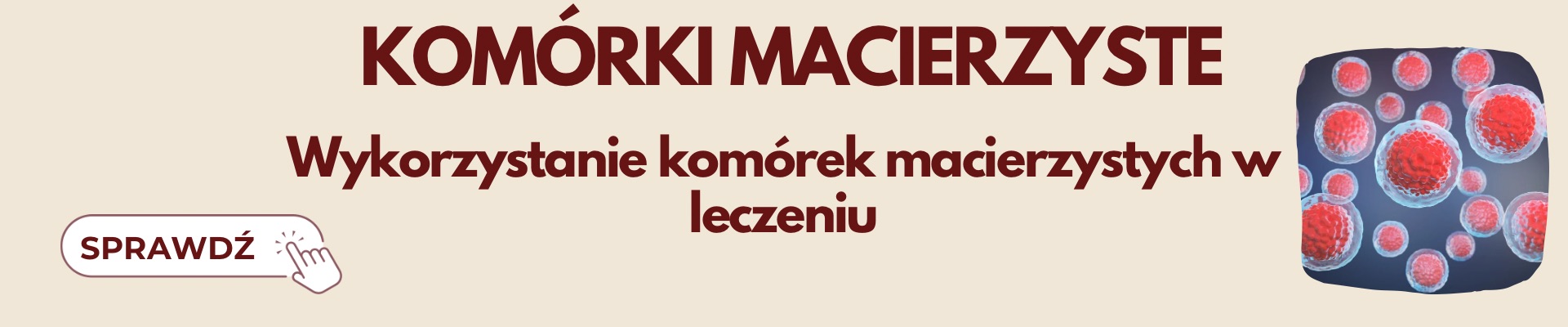 Komórki macierzyste — zapisy Evenea