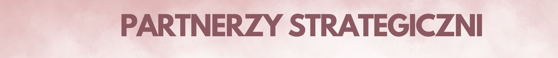Partnerzy strategiczni