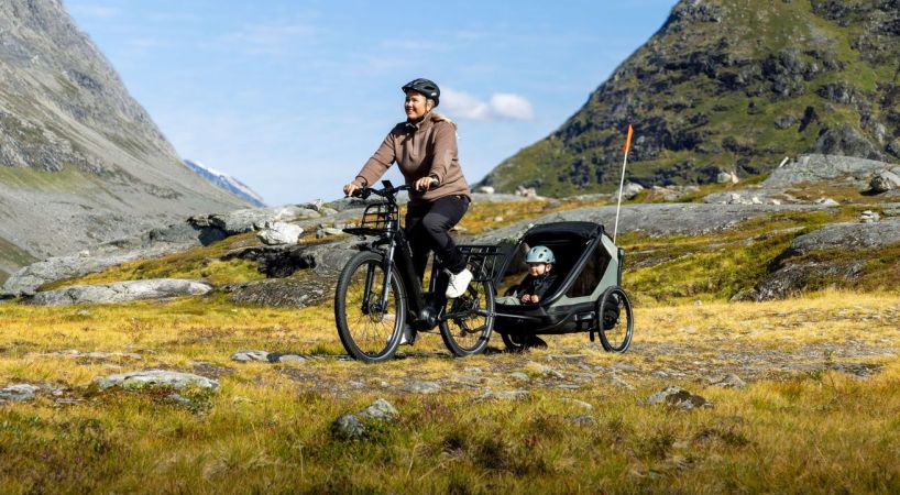 Hamax Outback Next - przyczepka rowerowa dla dziecka