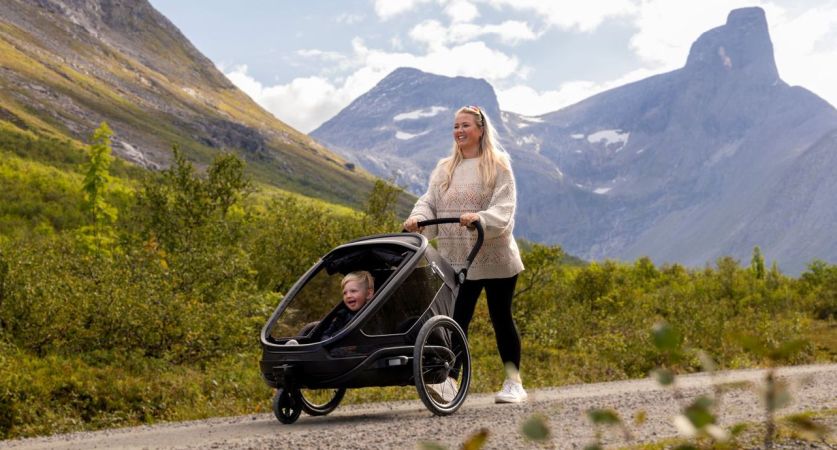 Hamax Outback Next - przyczepka rowerowa z funkcją wózka spacerowego 