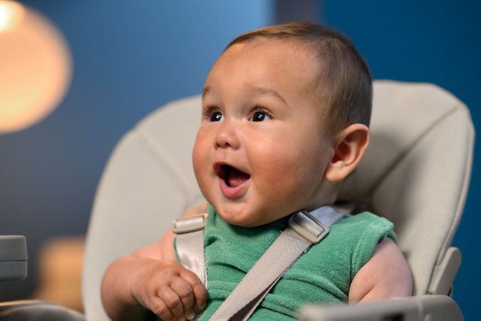 Maxi Cosi Minla Plus - krzesełko dla dzieci z 5-punktowymi pasami