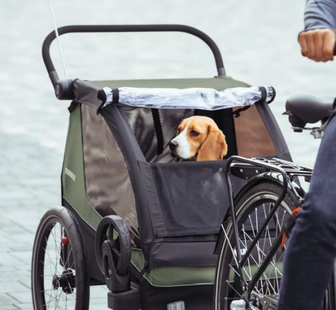 Thule Courier - przyczepka rowerowa dla psa